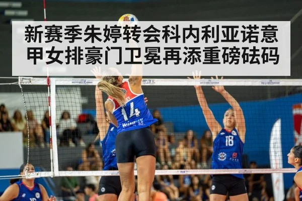 volleyball match action