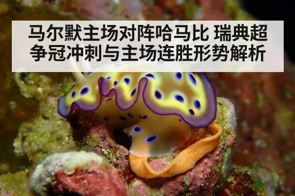 马尔默主场对阵哈马比 瑞典超争冠冲刺与主场连胜形势解析